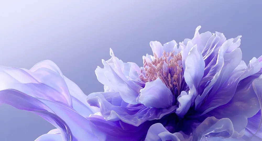 Colourful flower on the ASUS Pad 2.8K 144Hz OLED screen